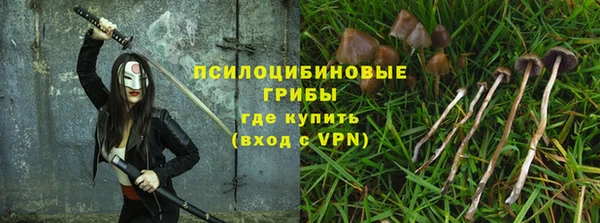 таблы Дмитриев